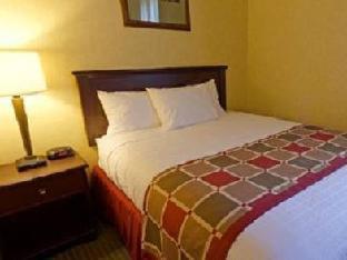 Best Western Plus Ticonderoga Pokoj fotografie